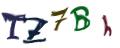 Obrázkové CAPTCHA